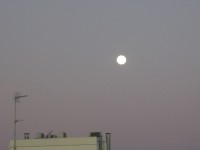 /album/fotogaleria-inicio/imgp0759-jpg1/