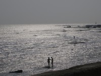 /album/fotogaleria-inicio/imgp0565-jpg/